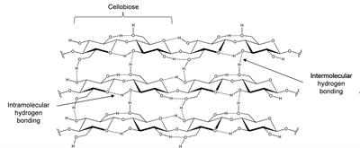 Supercritical Fluids: A Promising Technique for Biomass Pretreatment and Fractionation